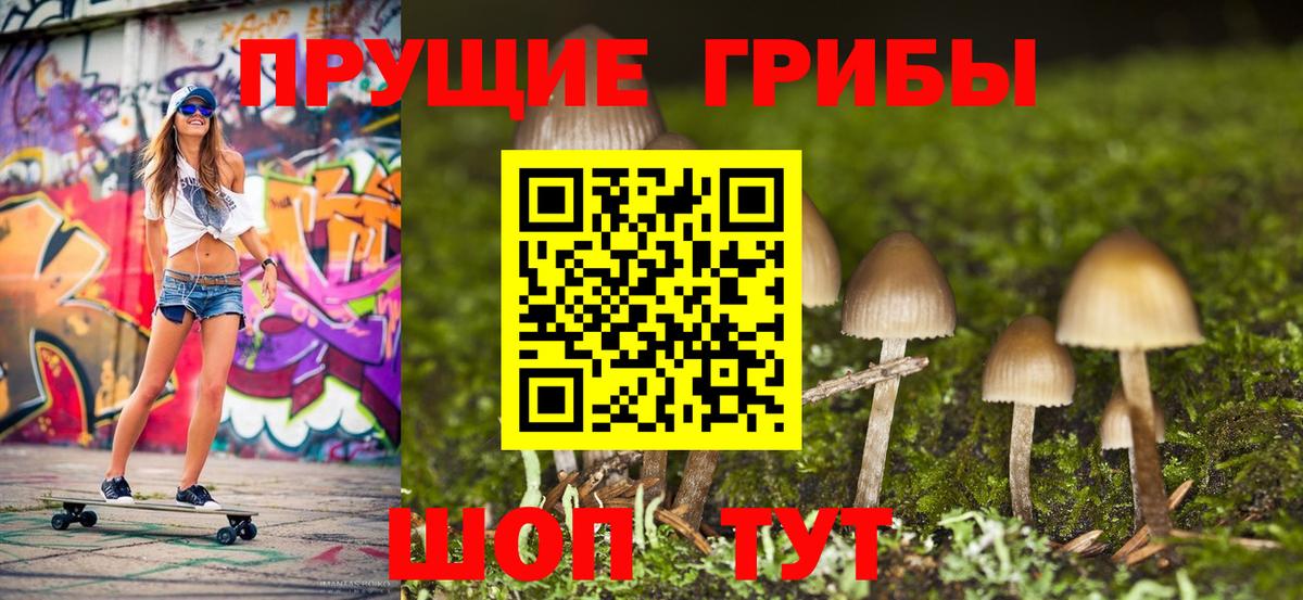 Татарск  Псилоцибиновые грибы Psilocybine cubensis  Вход с VPN 